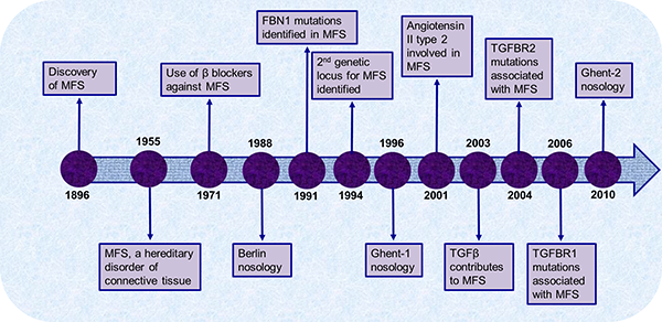 Figure 1a