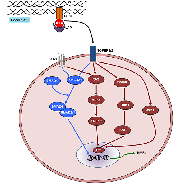 Figure 3a